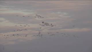 HÍREK A TERMÉSZETBŐL