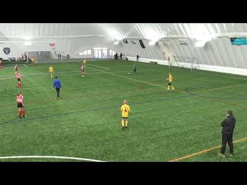 ONS YJ 1 - Haupa P08