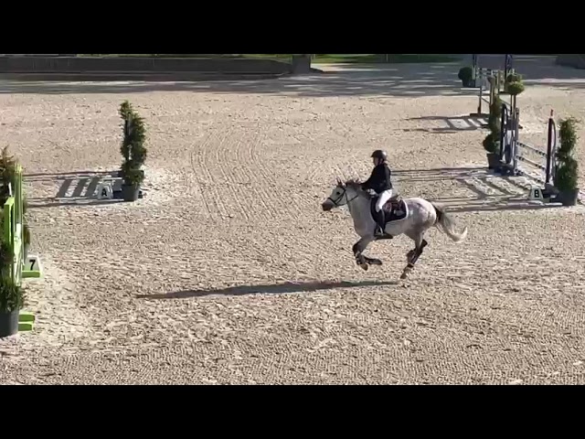 Tr&egrave;s jolie ponette C &ndash; 12 ans&ndash; polyvalente