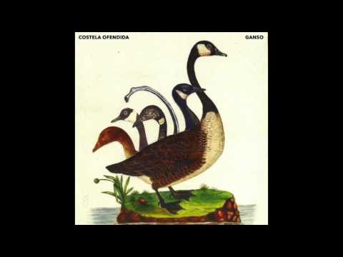 Pistoleira - Ganso