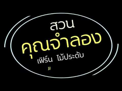 เฟิร์นใบมะขาม สวนคุณจำลอง เฟิร์นไม้ประดับ