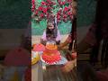Amaira Ka Bday Cake ️ Shorts Amairagurjar
