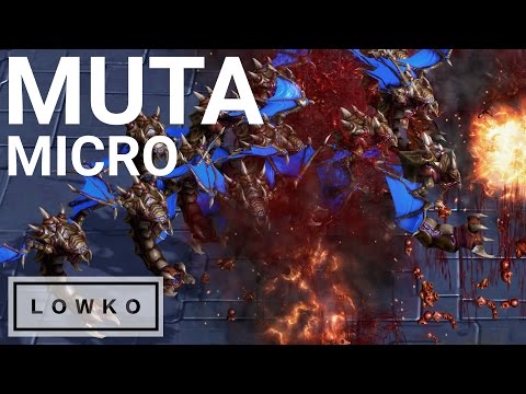 StarCraft 2 Guide: How-to Micro Mutalisks - Magic Box Tutorial!