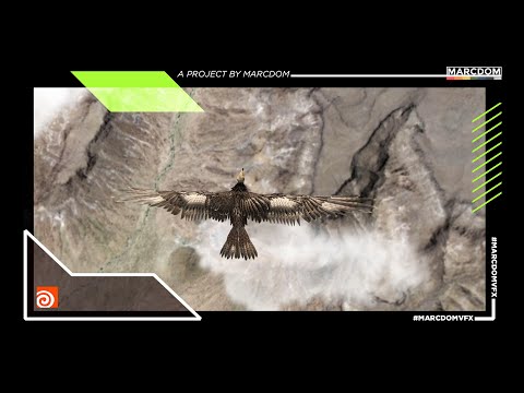 Vulture project || A quick way to simulate feathers in Houdini