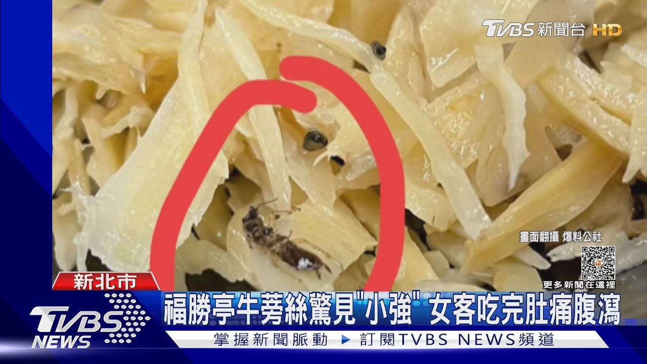 福勝亭牛蒡絲驚見「小強」　女客吃完肚痛腹瀉