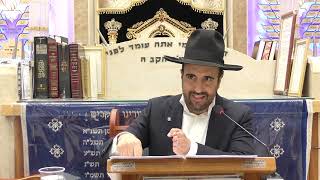 הרב מאיר אליהו ｜ מלחמת כוכבים ｜ יזדים  שבט ה'תשפ＂ו (רבנים שונים) - התמונה מוצגת ישירות מתוך אתר האינטרנט יוטיוב. זכויות היוצרים בתמונה שייכות ליוצרה. קישור קרדיט למקור התוכן נמצא בתוך דף הסרטון