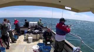 preview picture of video 'SEA FISHING OUT OF KILMORE QUAY'