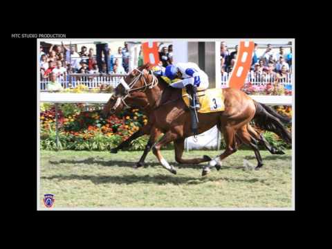 PHOTO GALLERY 2016 - RACE MEETING 18