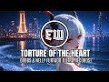 DVBBS & Nelly Furtado - Torture of the Heart