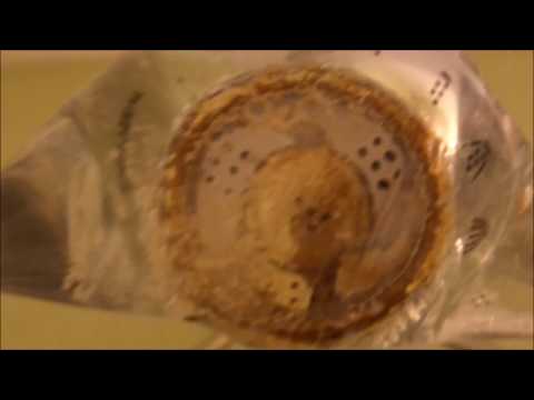 How to Clean Hard Water Deposits from a Shower Head