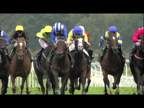 MUHAARAR - European Champion Sprinter 2015