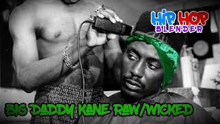 Big Daddy Kane Set it Off Video - Wicked | HIP HOP BLENDER Remix