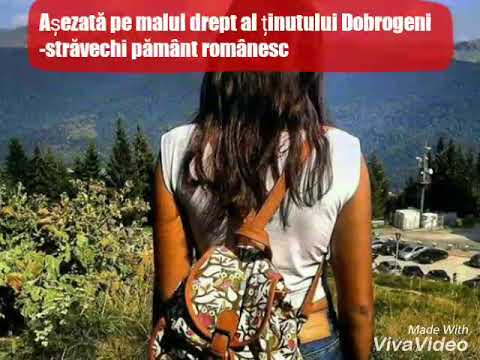 Fauna și vegetația comunei Turcoaia  de Panait Larisa