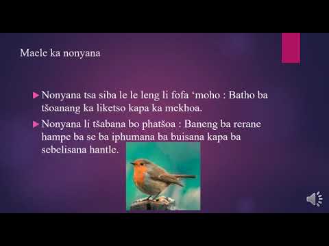 Maele le maelana a Basotho