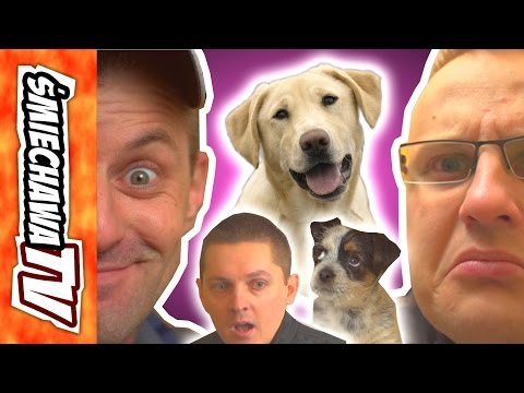 Suczy Dzień "u Szwagra" - VideoDowcip