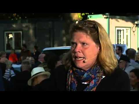 Analys av Jimmie Åkessons tal i Almedalen - Nyheterna (TV4)