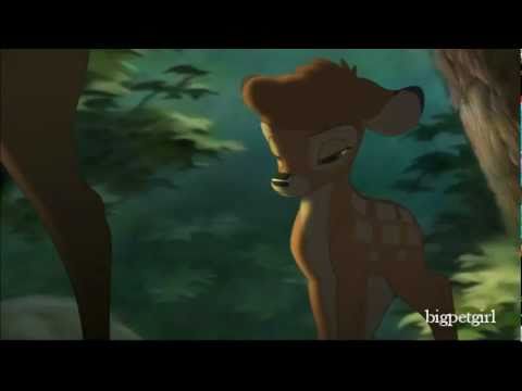 Tell The World I'm Coming