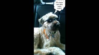 Skate Jamz Mix (70s/80s/90s/00s Disco/R&amp;B/Funk/Freestyle/Dance/House Music) (12-17)