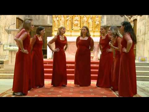 Klapa Teranke - Loza u skripu