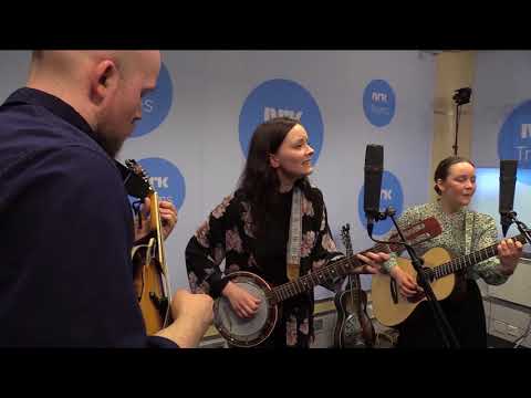 Hollow Hearts – Into the City (Live NRK Troms)