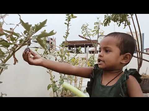 Gardening #plants #tree #flowers #kids #water