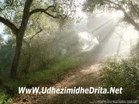 Shejkh Albani (rahimehullah) A lejohet mu taku (ec) me te fejuaren, para se me bo Nikah?