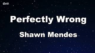 Perfectly Wrong - Shawn Mendes Karaoke 【No Guide Melody】 Instrumental