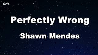 Perfectly Wrong - Shawn Mendes Karaoke 【No Guide Melody】 Instrumental