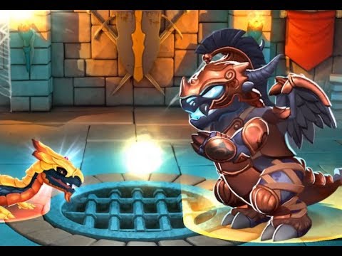 DML Live Stream Day 4 With Quacks - READ STREAM FAQ's