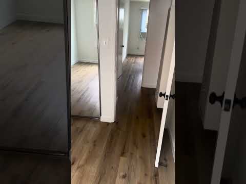 o3367 - Video 2 of 2