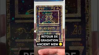Mon Mew revient de gradation 👀✨