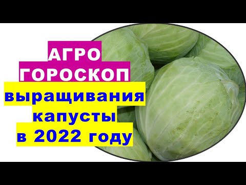 , title : 'Агрогороскоп выращивания капусты в 2022 году'
