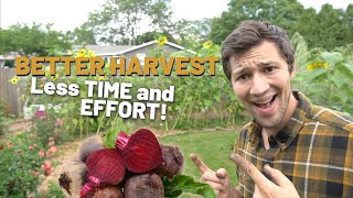 This is the EASIEST Way to Grow More Beet Roots in the Garden!