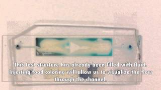 Lab 6C: PDMS Microfluidics: Testing the Devices