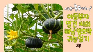 [나는농부다 253회 2부] 인기 수학강사 명건 씨의 해남 밤호박 정복기