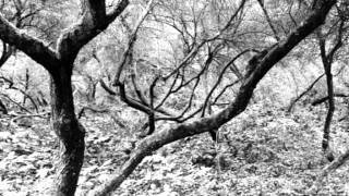 Beseech - Beyond the Wall of Sleep