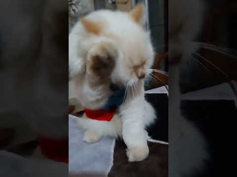 cleaning 😍🥰🥰!!!