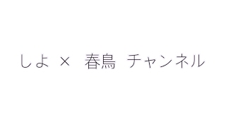 鳥春 のライブ ストリーム