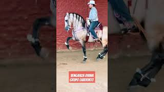 Venganza Divina - Grupo Laberinto