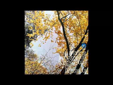 Marija Grozdanovic - Moj dragane gde ti leto prodje - (Audio 1974) HD