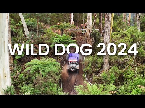 Wild Dog Winch Challenge 2024 | Winch Truck Racing Highlights