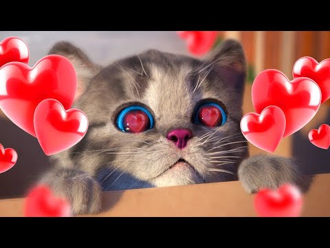 SUPER SPECIAL LITTLE KITTEN ADVENTURE - STORY OF A LITTLE KITTEN CARTOON FOR KIDS JOURNEY FUN MEOWS