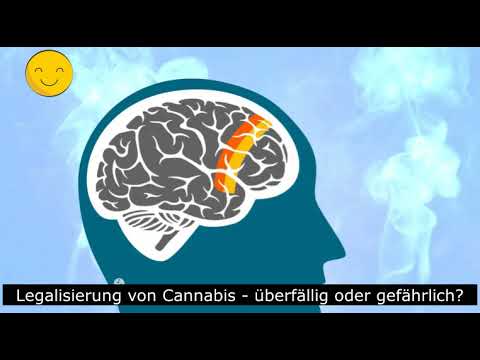 Legalisierung von Cannabis   überfällig oder gefährlich