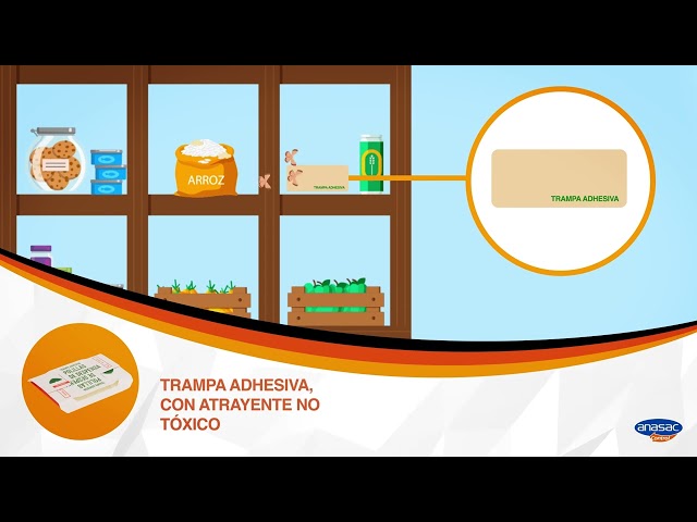 Vídeo relacionado con PIC Trampa para Polilla de despensa - 6X Piezas - Medios de protección contra Las polillas en la Cocina y el Almacenamiento de Alimentos