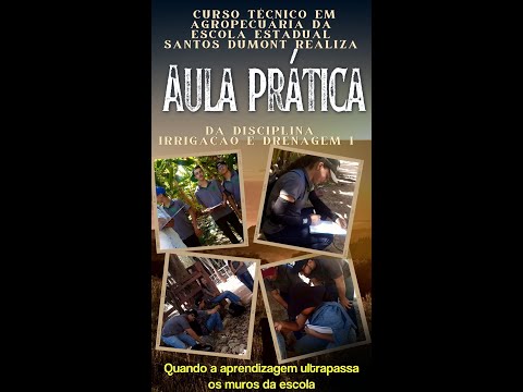 Curso Técnico de agropecuária - Escola Estadual Santos Dumont Pai Pedro/MG
