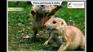 Forest and Wildlife Resources - Flora and Fauna in India