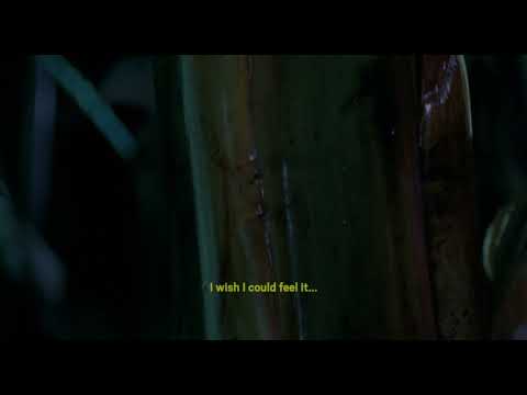 Trailer | A Hundred-Headed Dragon | Helena Girón & Samuel Delgado