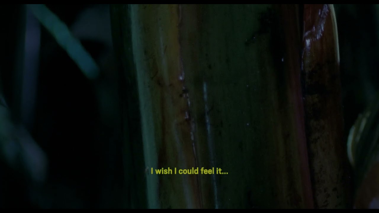 Trailer | A Hundred-Headed Dragon | Helena Girón & Samuel Delgado