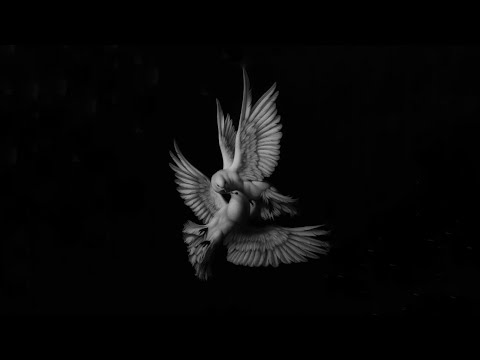 Сашо Роман - Гълъбите бели 🕊️(HQ 1080 топ качество)