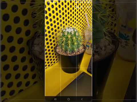 Workly Demo